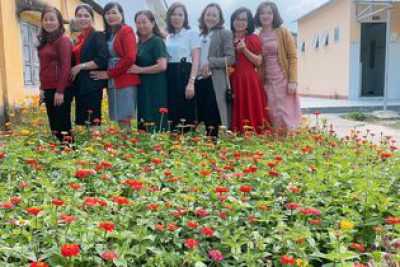 Hoa xuân khoe sắc mừng thành quả của cô trò trường Tiểu học Nguyễn Du